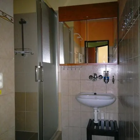 Apartmany Pod Suchym Vrchem Orlicky Exterior photo