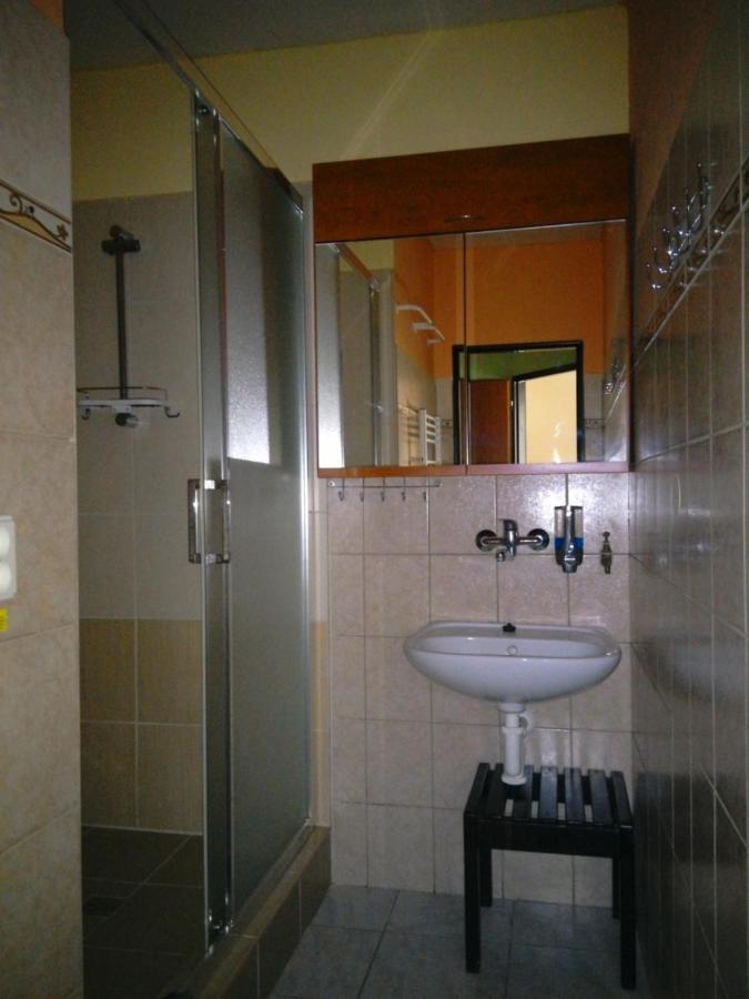 Pod Suchym Vrchem Apartment Orlicky